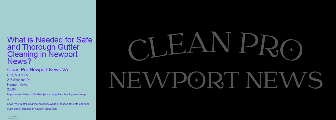 What is Needed for Safe and Thorough Gutter Cleaning in Newport News? 